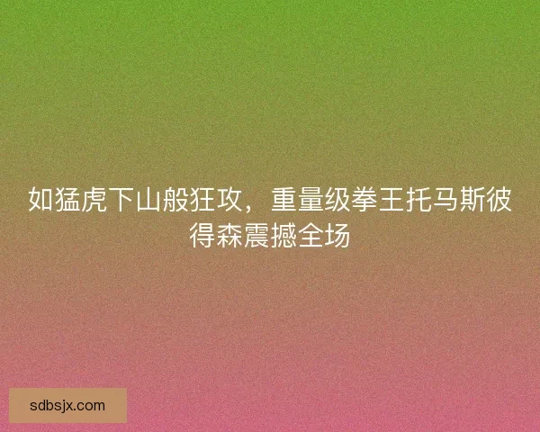 如猛虎下山般狂攻,重量级拳王托马斯彼得森震撼全场 如猛虎下山般狂攻,重量级拳王托马斯彼得森震撼全场
